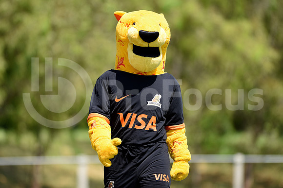 Pretemporada Jaguares 2017.