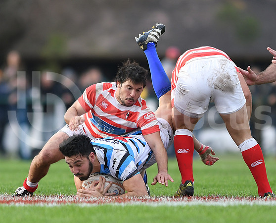 URBA TOP12 2019