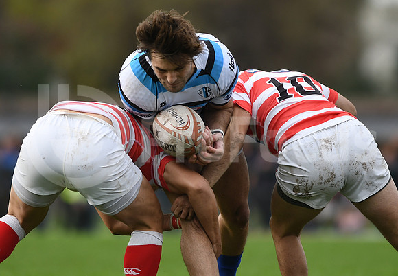 URBA TOP12 2019