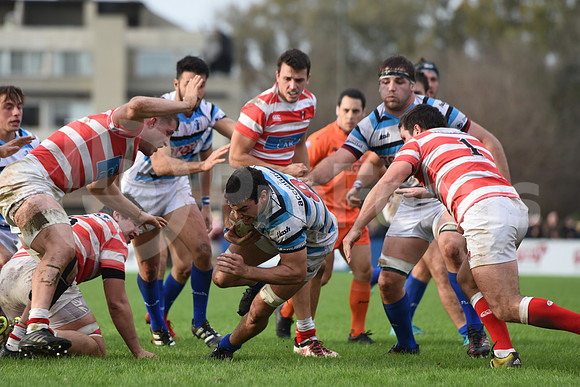 URBA TOP12 2019