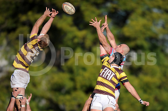 URBA TOP 14