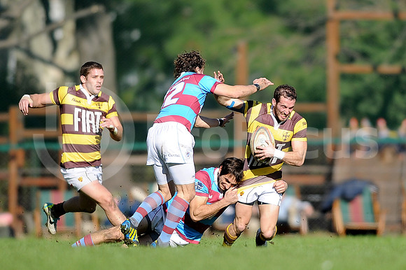 URBA TOP 14