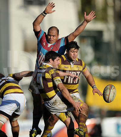 URBA TOP 14
