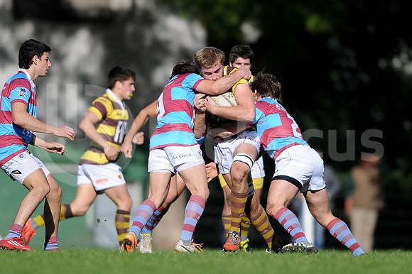URBA TOP 14