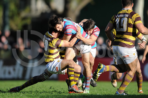 URBA TOP 14