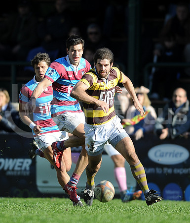 URBA TOP 14