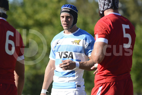 Pedro Ortega (Argentina)