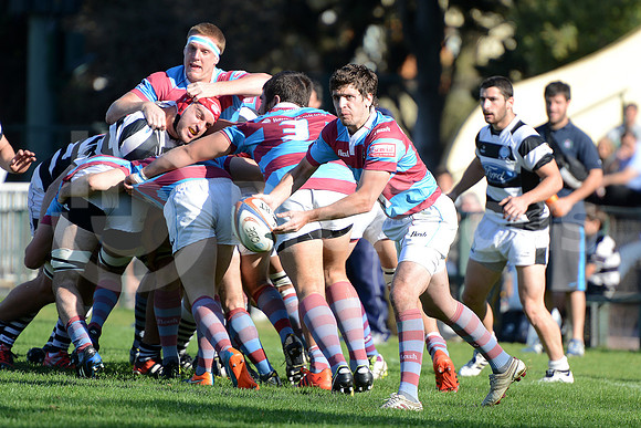 URBA TOP14 2015