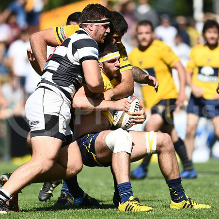 CASI vs La Plata. TOP 12 2017