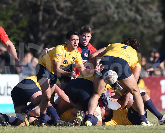 URBA Top12  2019
