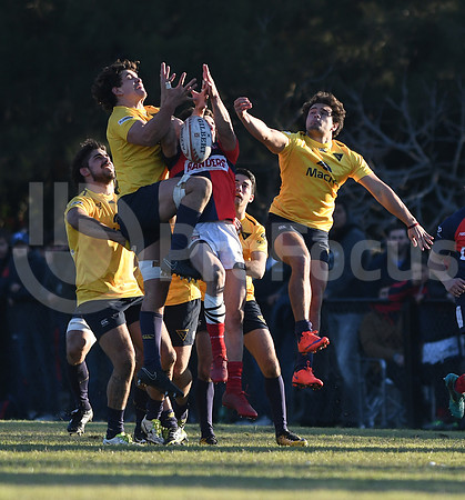 URBA Top12  2019