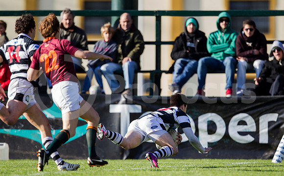 CASI VS NEWMAN - 20/7/2013