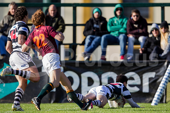 CASI VS NEWMAN - 20/7/2013