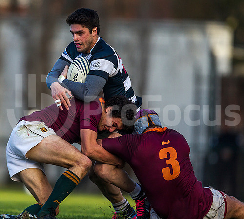 CASI VS NEWMAN - 20/7/2013