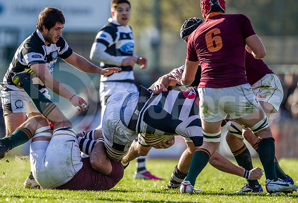 CASI VS NEWMAN - 20/7/2013