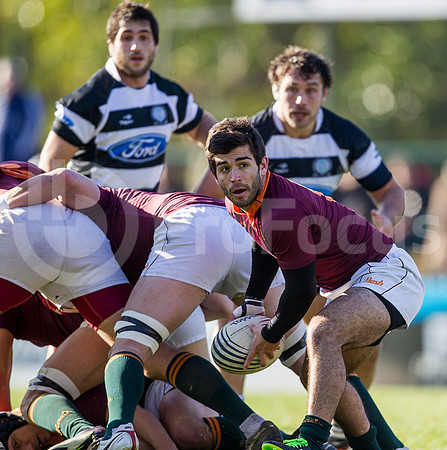 CASI VS NEWMAN - 20/7/2013