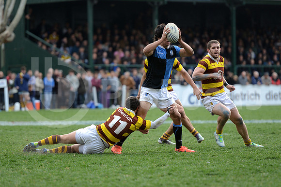 URBA TOP 14 2013