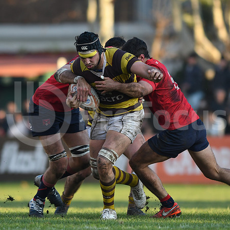 URBA Top12  2019