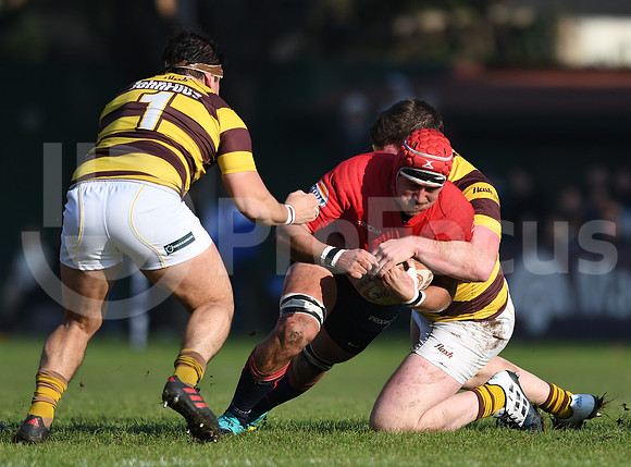 URBA Top12  2019