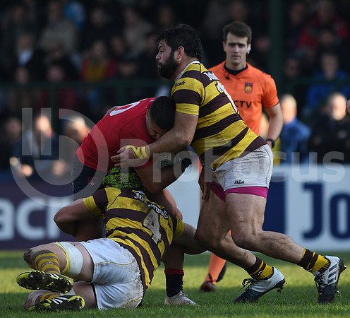 URBA Top12  2019
