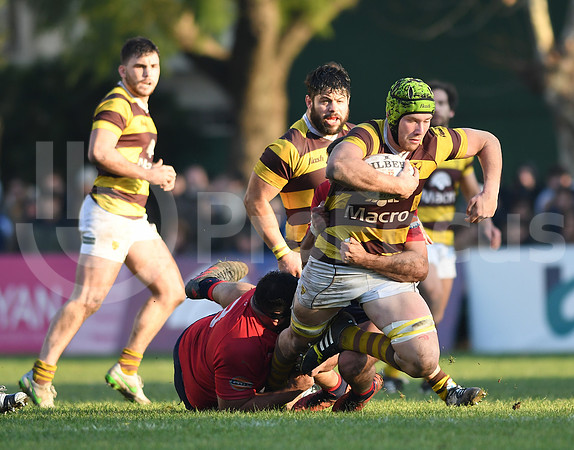 URBA Top12  2019