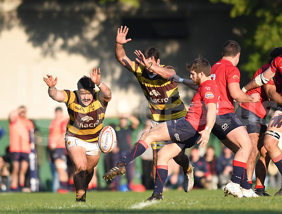 URBA Top12  2019