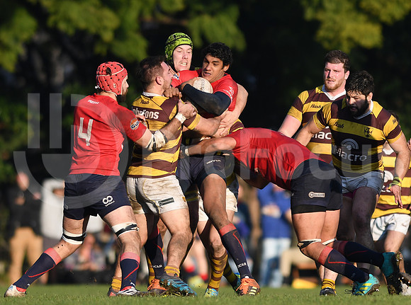 URBA Top12  2019
