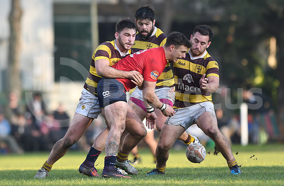 URBA Top12  2019