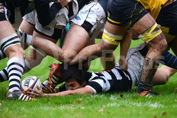 URBA TOP14 2016