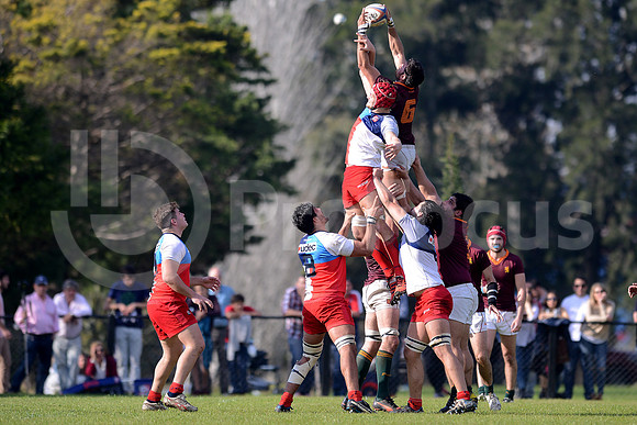 URBA TOP14 2016