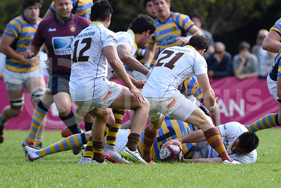 URBA TOP14 2016