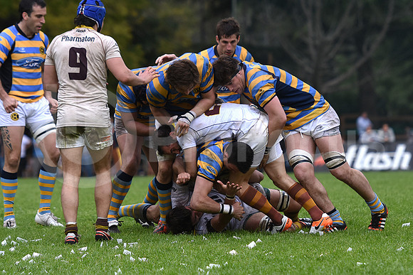 URBA TOP14 2016