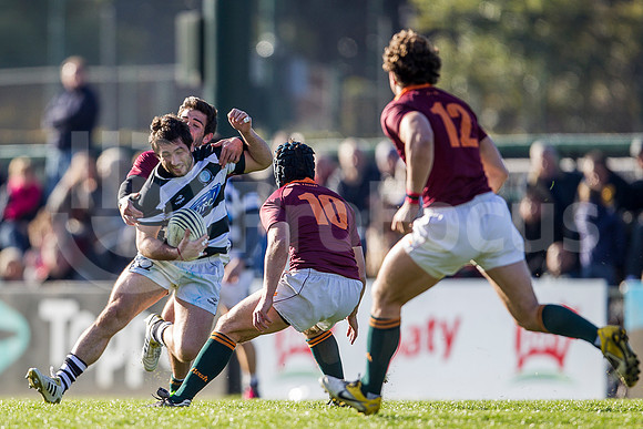 CASI VS NEWMAN - 20/7/2013