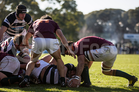 CASI VS NEWMAN - 20/7/2013