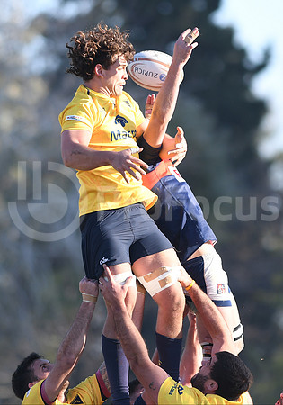 URBA Top12  2019