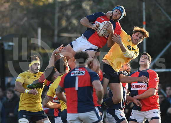URBA Top12  2019