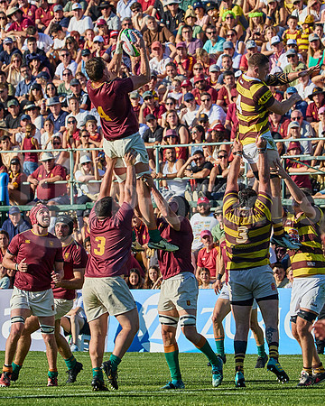 Semifinal - URBA Top 12 Copa Macro - Newman ante Belgrano Athletic 27 a 28