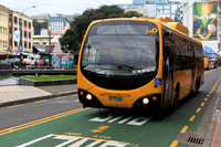 WELLINGTON