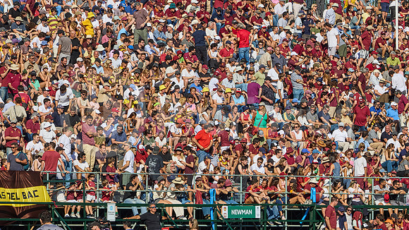 Semifinal - URBA Top 12 Copa Macro - Newman ante Belgrano Athletic 27 a 28