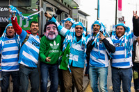 PUMAS vs IRLANDA