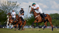 ELLERSTINA-DOLFINA POLO RANCH 13-10-2018