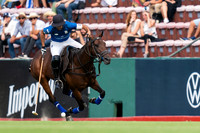FINAL: LA DOLFINA vs ELLERSTINA