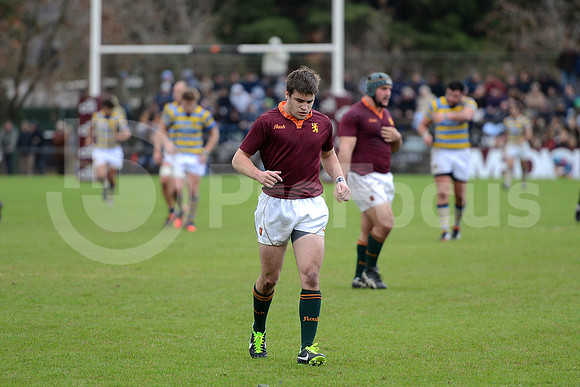 URBA TOP 14 2013