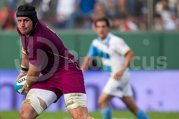 PUMAS VS INGLATERRA (SALTA)