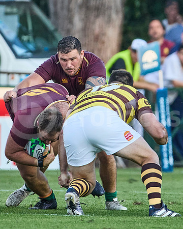 Semifinal - URBA Top 12 Copa Macro - Newman ante Belgrano Athletic 27 a 28
