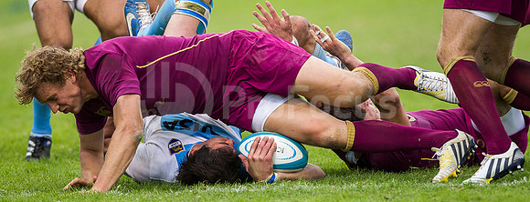 PUMAS VS INGLATERRA (SALTA)