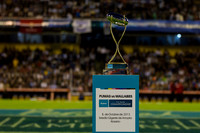 PUMAS VS WALLABIES