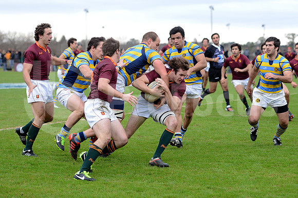URBA TOP 14 2013