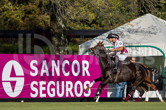 POLO - ABIERTO TORTUGAS 2013