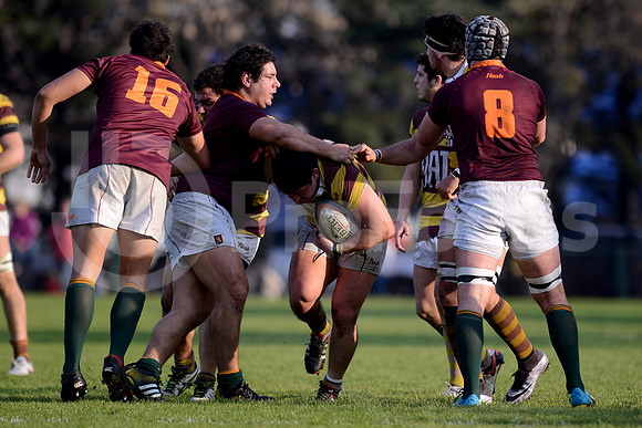 URBA TOP14 2016